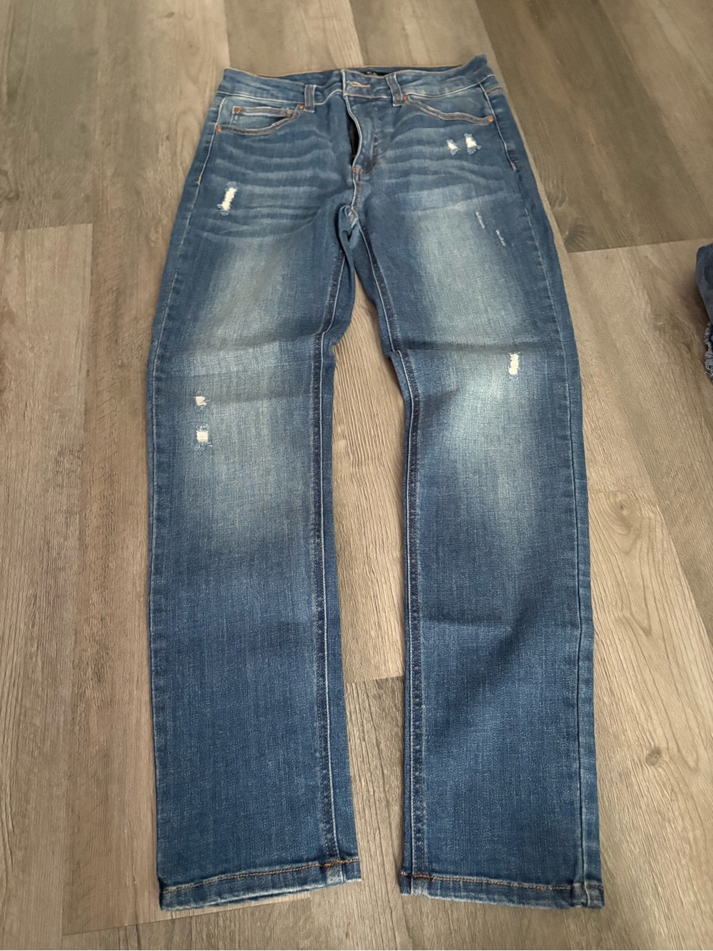 iris Straight Leg Distressed Jeans in Blue Wash